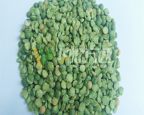 <a href=http://www.k4748.cn/product/8/ target=_blank class=infotextkey>豌豆脫皮機(jī)</a>